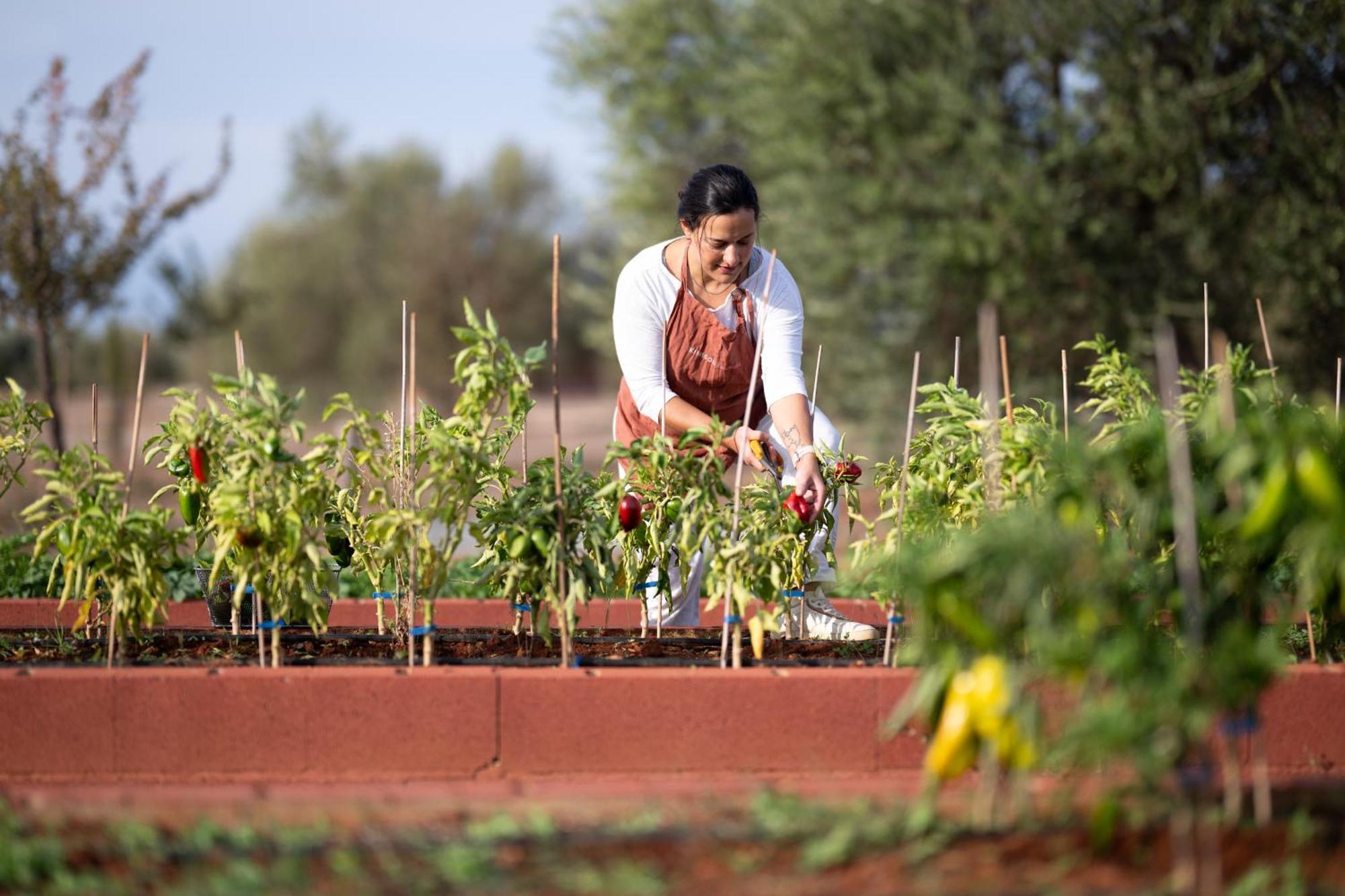 Eumelia Organic Agrotourism Farm 호텔 Goúvai 외부 사진